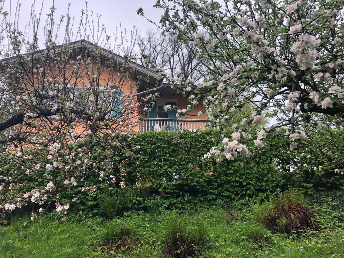 Ferienhaus Eisenach Holiday home